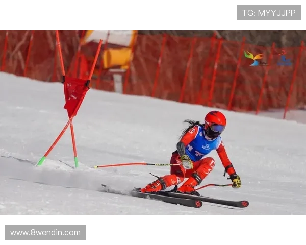 2026年北京青少年滑雪比赛精彩回顾与成绩分析 2026年北京青少年滑雪比赛精彩回顾与成绩分析